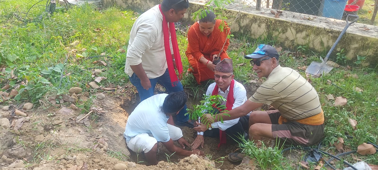 Tree Plantation and Beautification